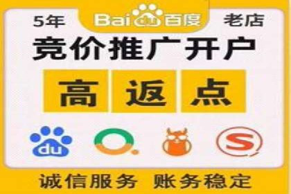 专业SEM运营托管服务案例分析